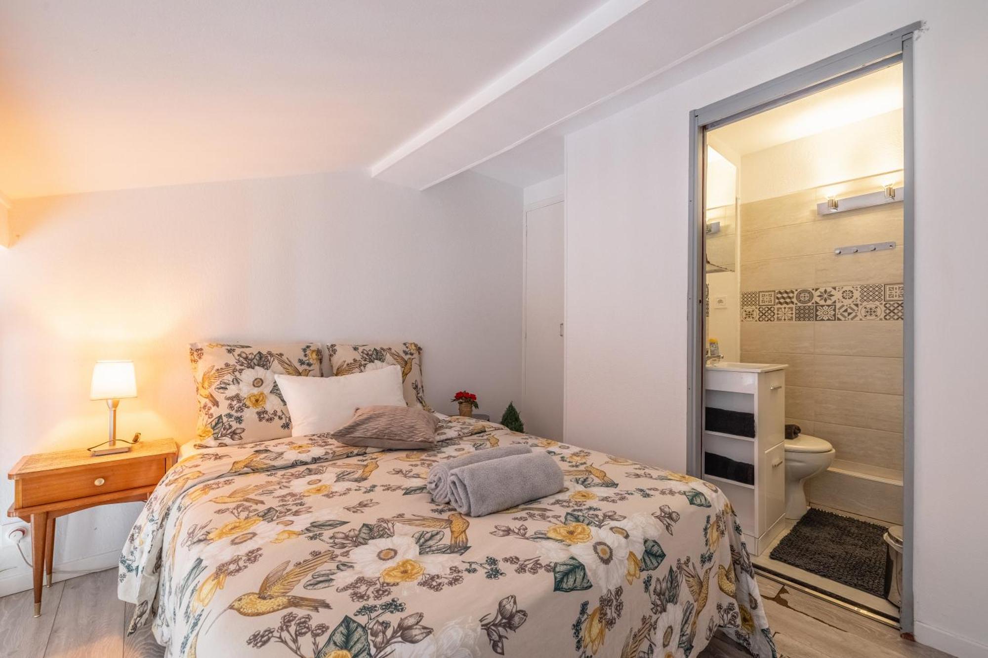 Grand Duplex Centre - Gare Apartment ตูลูส ภายนอก รูปภาพ